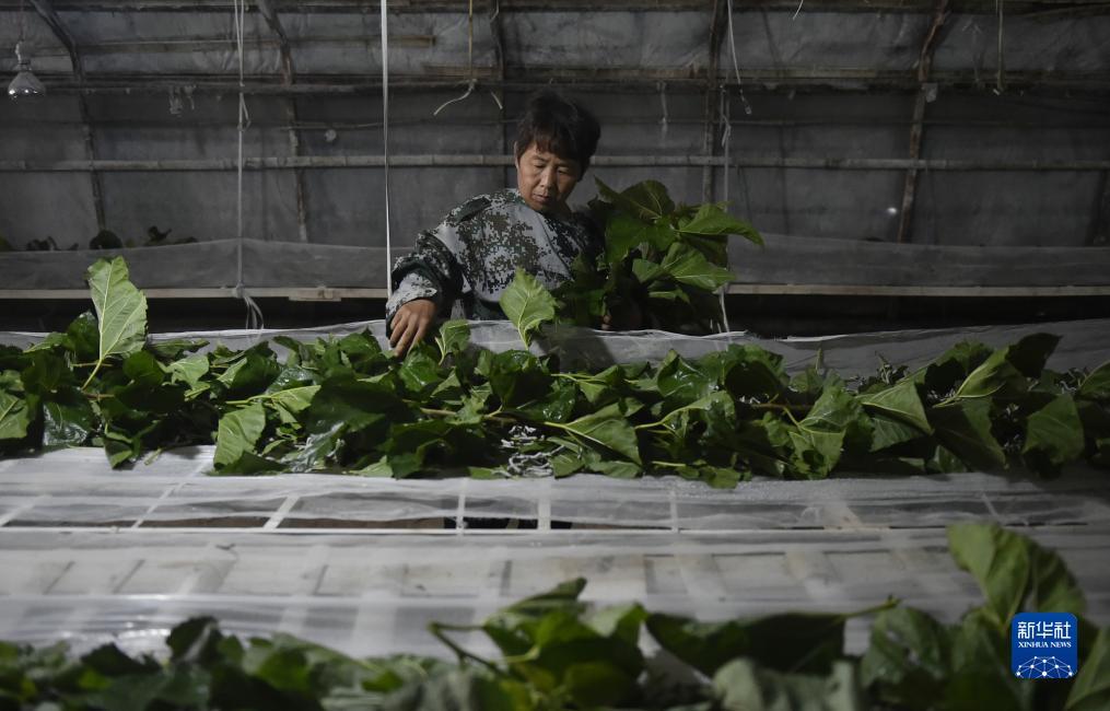 宝马游戏机
